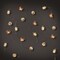Celebrations Celebrations LED Micro Dot/Fairy Clear/Warm White 20 ct Novelty Christmas Lights 6.2 ft. 9922046 - alternate 5